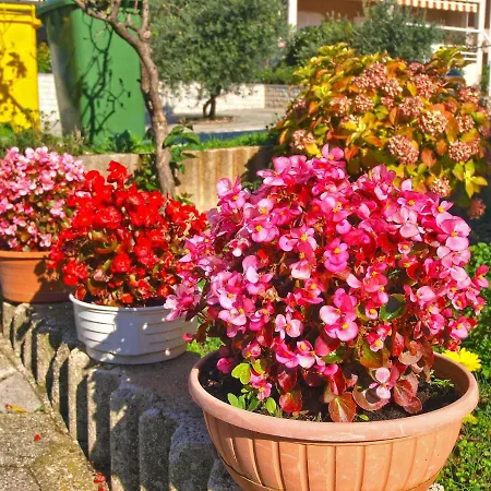 With Parking Space Rabac, Labin - 20746 Rabac